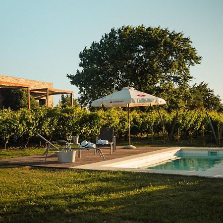 Pizzorno Lodge & Wine Progreso Exterior photo