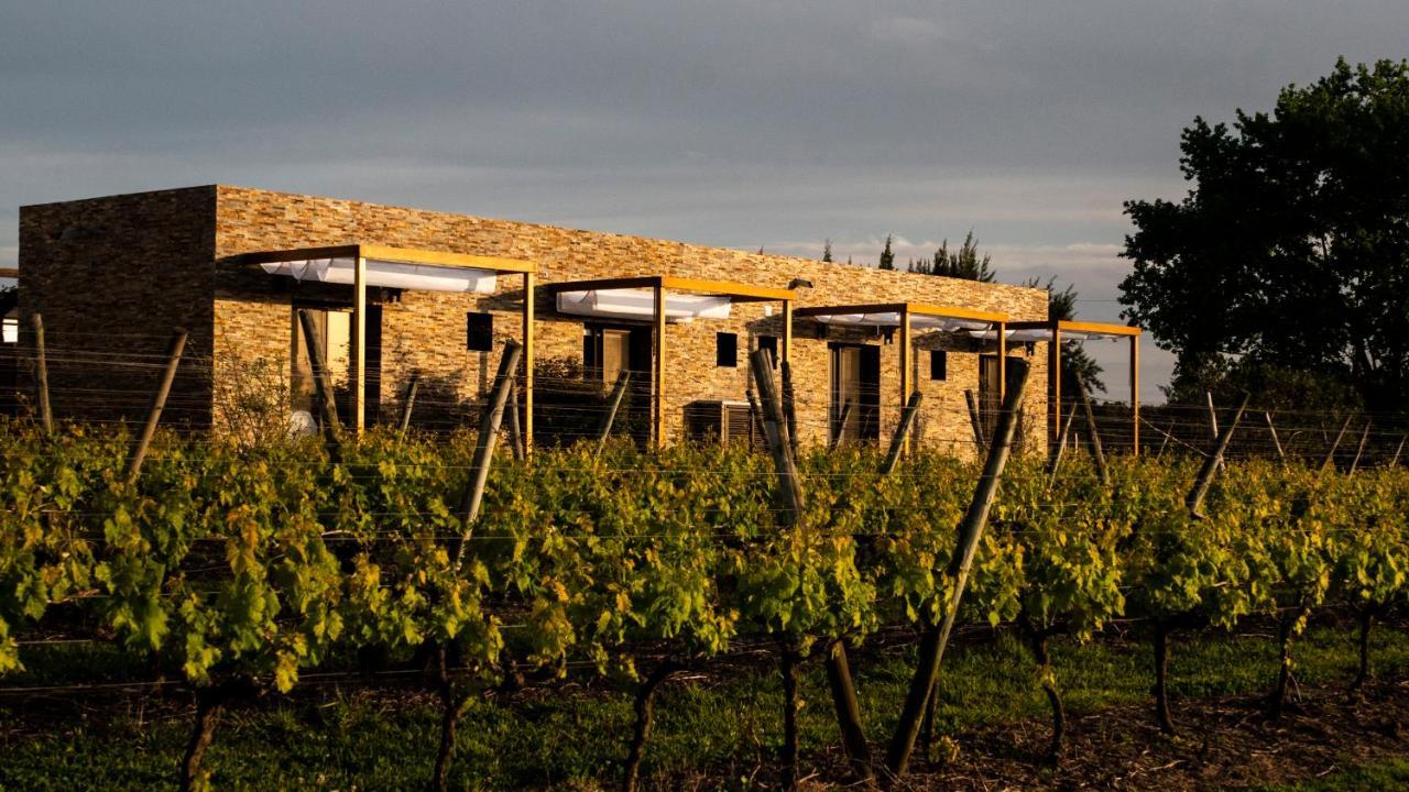 Pizzorno Lodge & Wine Progreso Exterior photo