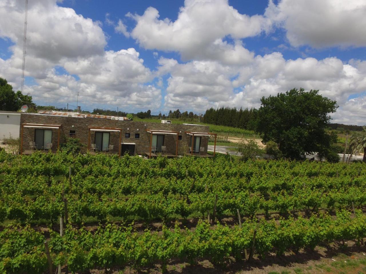 Pizzorno Lodge & Wine Progreso Exterior photo