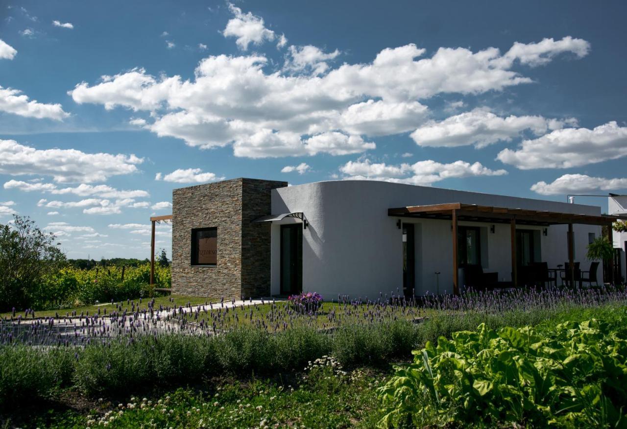 Pizzorno Lodge & Wine Progreso Exterior photo